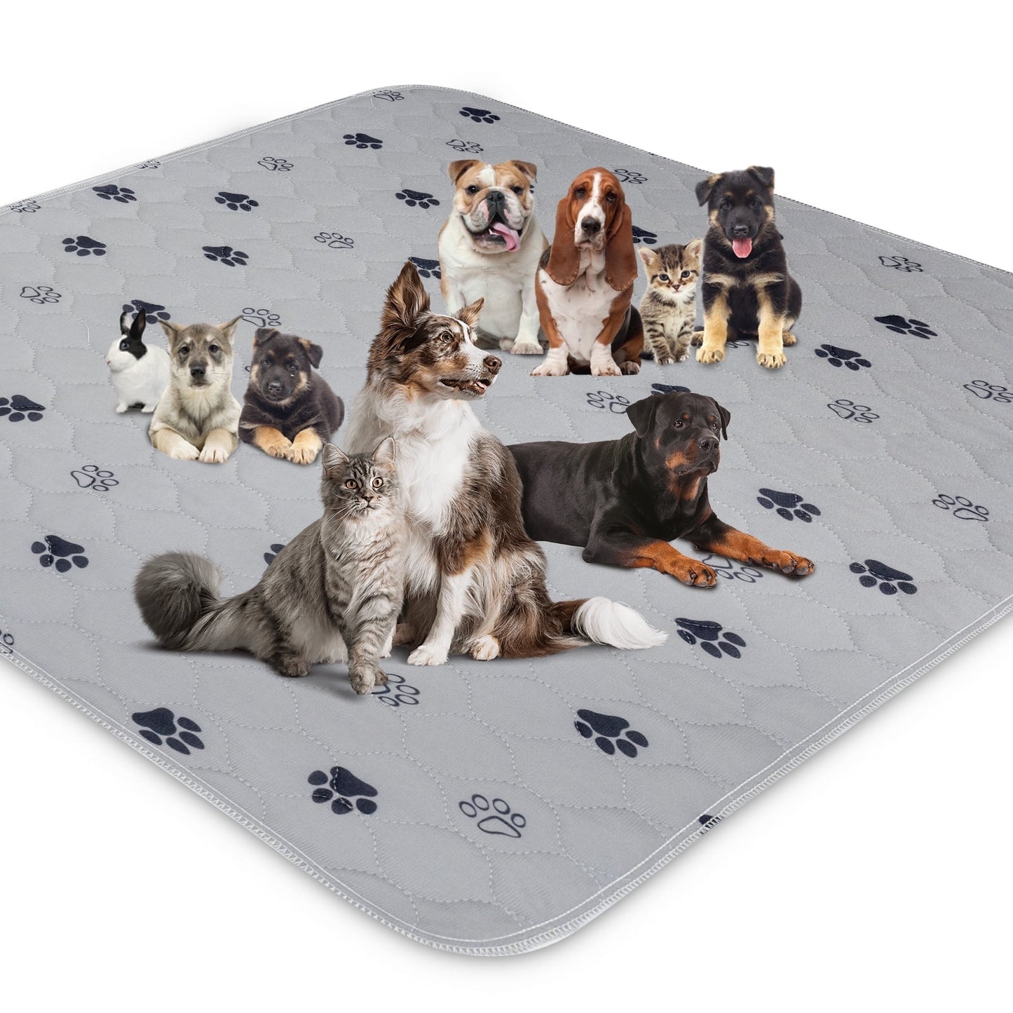 GOGREEN Waterproof Reusable Pets Training Pads Washable Pee Pads for Dogs, Puppy Pads for Potty Training with Leakproof Bottom (1 Pack, 72x72)