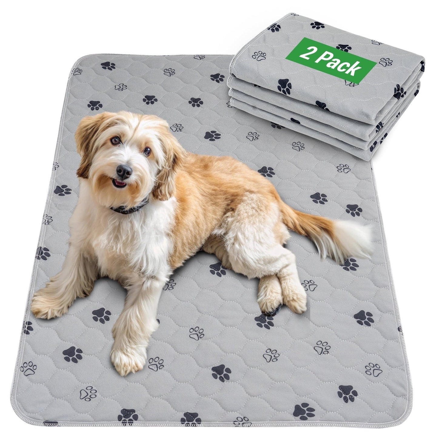 GOGREEN Waterproof Reusable Pets Training Pads Washable Pee Pads for Dogs, Puppy Pads for Potty Training with Leakproof Bottom (2 Pack, 24x36)