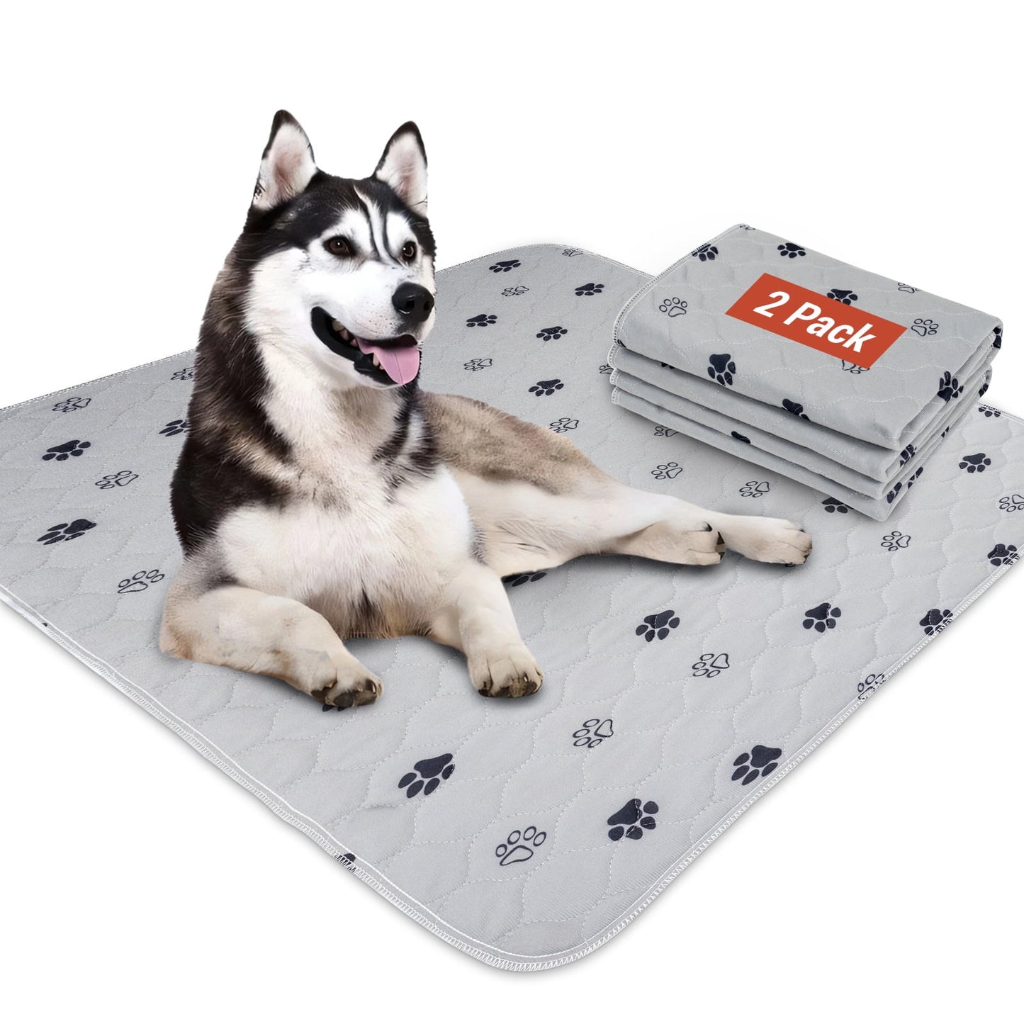 Hitime Waterproof Reusable Pets Training Pads Washable Pee Pads for Dogs with Leakproof Bottom, Puppy Pads for Potty Training (2 Pack, 24x36)